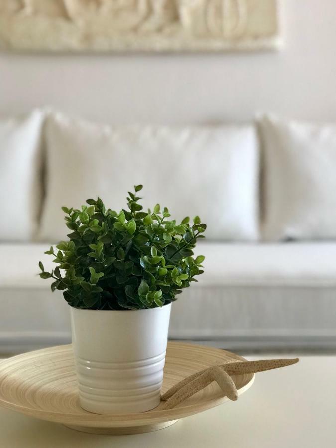 Sand & Sea Design Apartment 佩科霍里 外观 照片